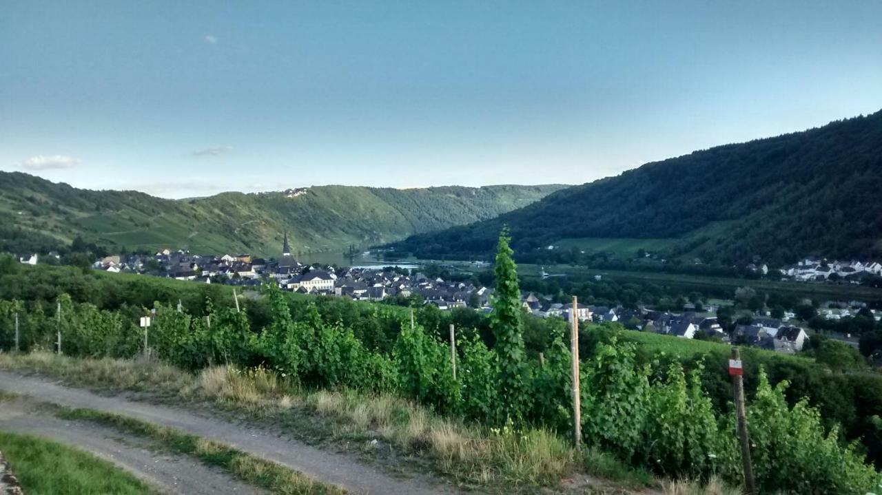 Weingut Sauer-Kettermann Villa Enkirch Dış mekan fotoğraf