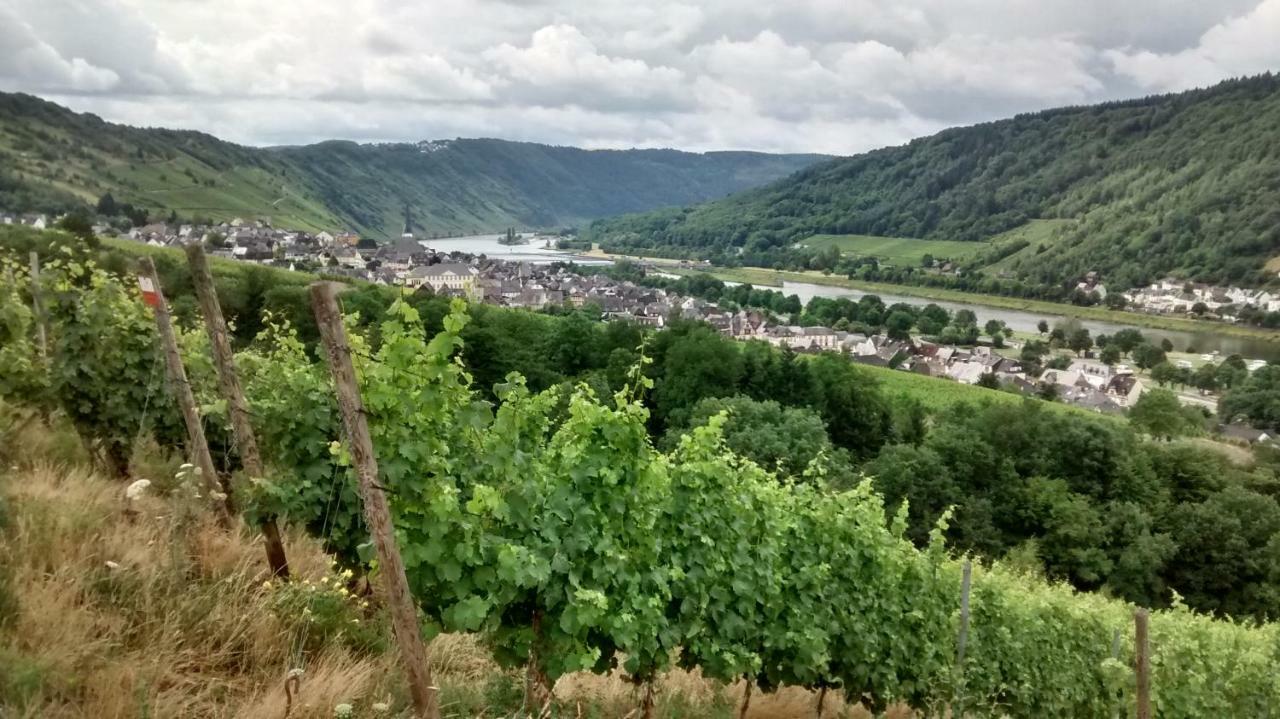 Weingut Sauer-Kettermann Villa Enkirch Dış mekan fotoğraf