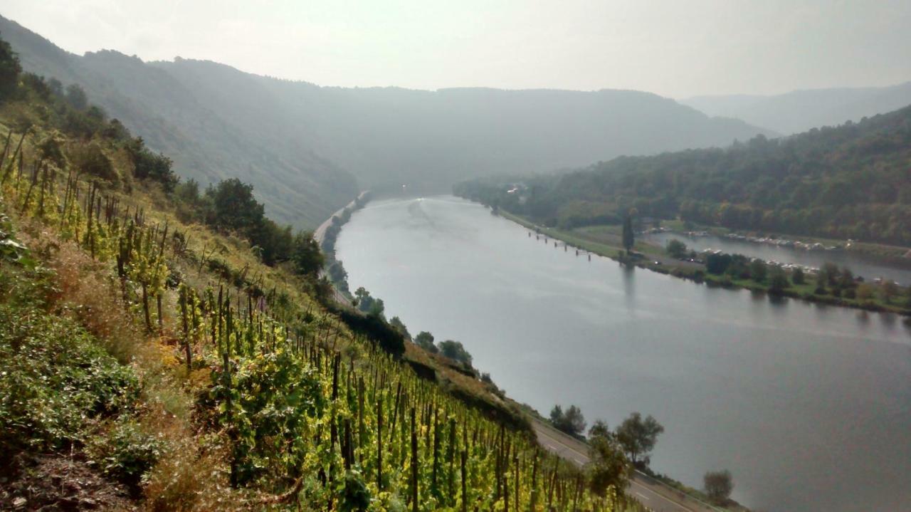 Weingut Sauer-Kettermann Villa Enkirch Dış mekan fotoğraf